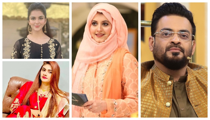 سوشل میڈیا پر رکن قومی اسمبلی کی ویڈیو وائرل ہوئی تو صارفین نے بڑی تعداد میں تبصرے کیے اور عامر لیاقت پر سخت تنقید کی__فوٹو: فائل