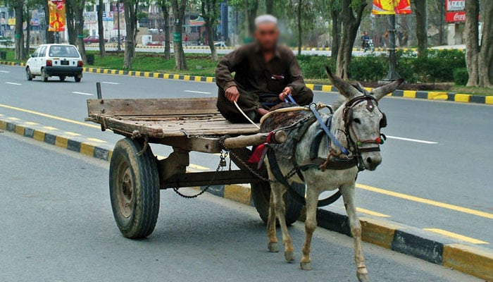 Rising petrol price, aviation employee seeks permission to bring donkey cart