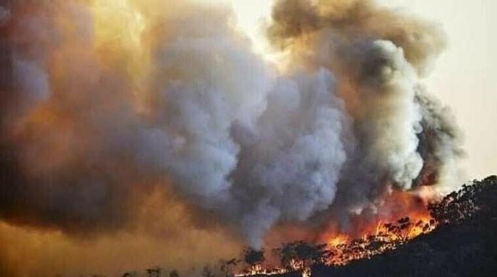 خیبر پختونخوا کے جنگلات میں 6 مقامات پر آگ بھڑک اٹھی، 4 افراد جاں بحق