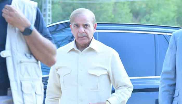 اپنی پسند ناپسند سے بالاتر ہو کر ملکی مفاد میں فیصلے کرنا ہوں گے: شہباز شریف۔ فوٹو فائل