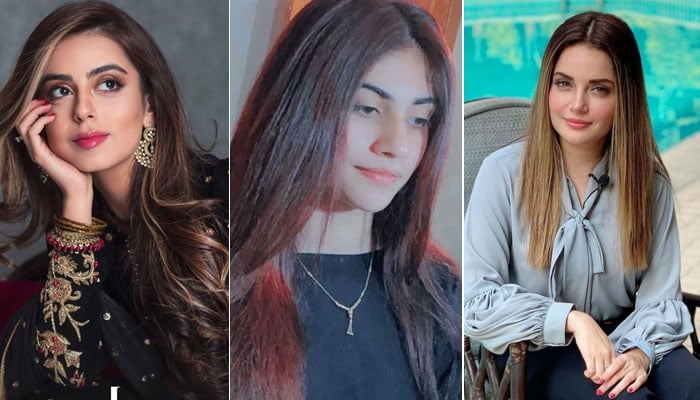 اب دانیہ کی حمایت میں اداکارہ ارمینا رانا خان اور یشما گل سامنے آئی ہیں—فوٹو: فائل