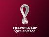 فیفا ورلڈکپ قطر 2022 کےلوگو والی نمبر پلیٹ کے غیر قانونی استعمال پر پابندی عائد