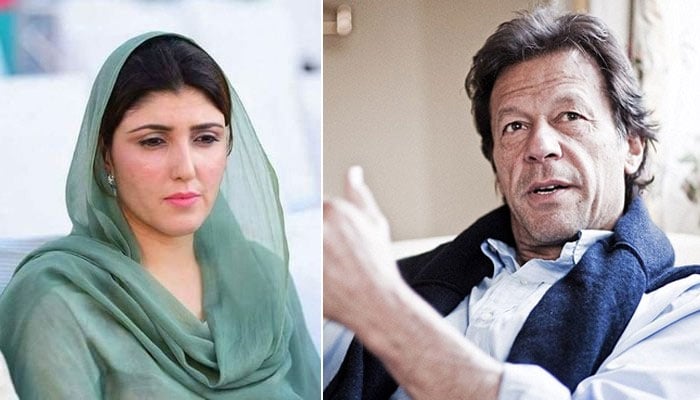 اگست 2017 میں عائشہ گلالئی نے اسلام آباد میں پریس کانفرنس کے دوران تحریک انصاف چھوڑنے کا اعلان کرتے ہوئے پارٹی چیئرمین عمران خان پر سنگین الزامات لگائے تھے— فوٹو: فائل