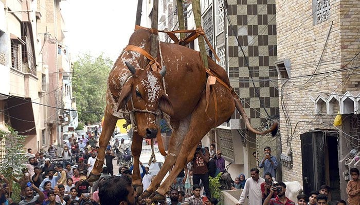 فوٹو بشکریہ پی پی آئی