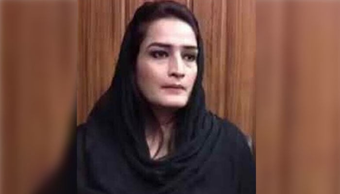 اگر مزید ثبوت مانگیں گے تو فراہم کر دیے جائیں گے: طیبہ گل—فوٹو فائل