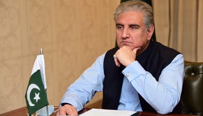 ضمنی الیکشن میں عوام نے پیسہ چلانے والوں کو مسترد کردیا، مریم نواز کہتی ہیں کہ انہوں نے ہار تسلیم کرلی ہے: رہنما پی ٹی آئی/ فائل فوٹو