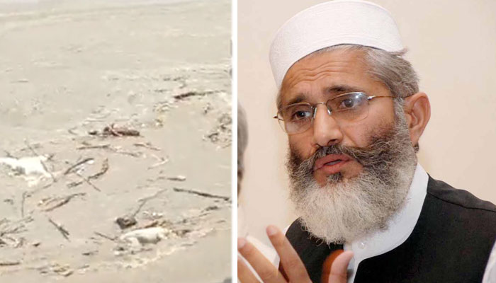 مقامی لوگوں نےبتایا کہ 23 لاشیں دیکھی گئیں، 6 کو نکالا جا سکا: امیر جماعت اسلامی کی ٹوئٹ/اسکرین گریب