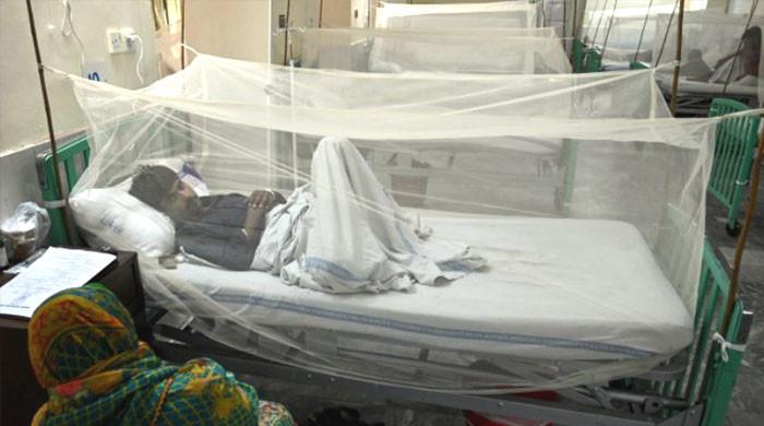 کراچی میں ڈینگی کے کیسز  میں اضافہ، 24گھنٹوں میں 28 افراد مبتلا