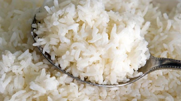 چاول کھانا ذیابیطس کے مریضوں کے لیے نقصان دہ تو نہیں؟
