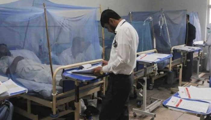 24 گھنٹوں میں سندھ میں 41 افراد میں ڈینگی وائرس کی تصدیق ہوئی ہے جن میں سے 40 کیسز کراچی اور ایک ٹھٹھہ سے رپورٹ ہوا: محکمہ موسمیات/ فائل فوٹو