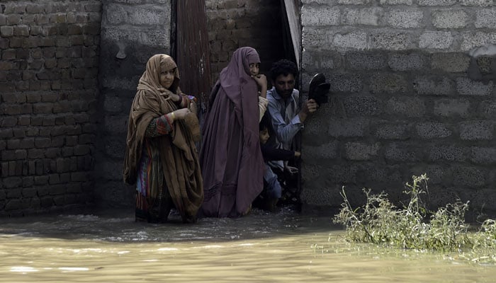 پاکستان میں سیلاب کے باعث ہونے والی تباہی سے افسردہ ہیں: امریکا— فوٹو: یو ایس ایڈ