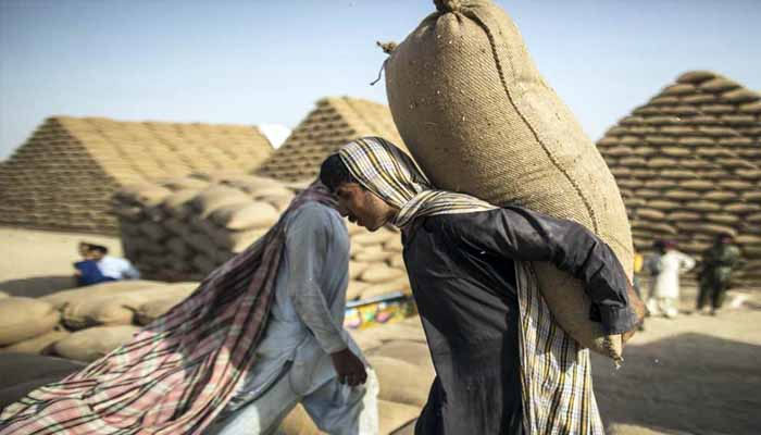 پنجاب حکومت نے وفاقی حکومت سے 10 لاکھ ٹن گندم درآمد کرنے کی اجازت مانگ لی: ذرائع— فوٹو: فائل