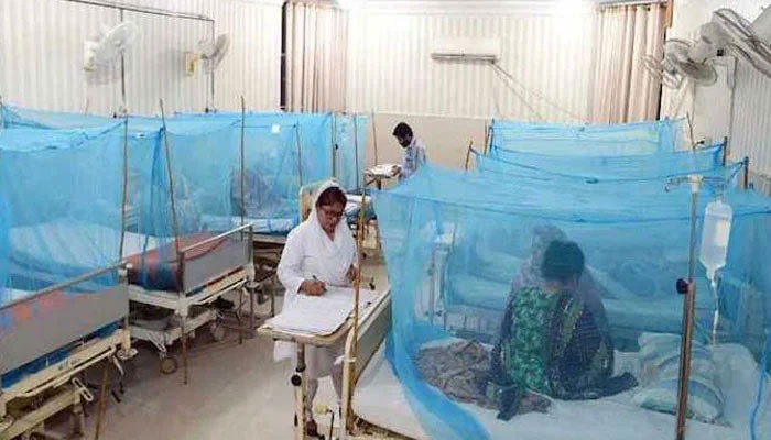 Dengue outbreak continues throughout the country