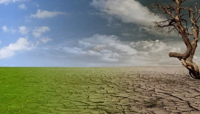 Climate change will make pandemics more common, research