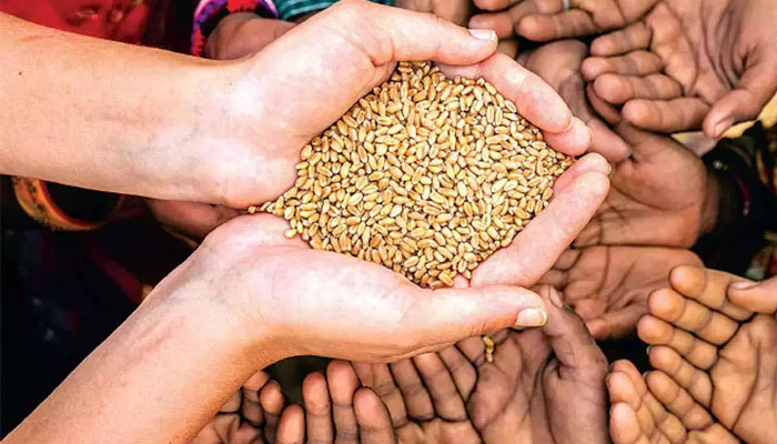 ملک میں گندم، چینی اور دیگر غذائی اشیا کا 153دن کا اسٹاک موجود ہے: وزارت نیشنل فوڈ سکیورٹی/فوٹوفائل