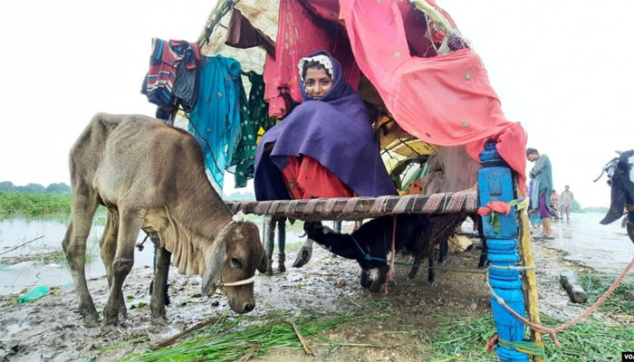 Australia has announced more aid for Pakistan’s flood victims