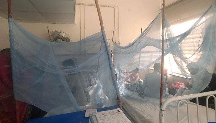 پاکستان کے 26 اضلاع میں ملیریا نے تباہی پھیلا رکھی ہے، عالمی ادارہ گلوبل فنڈ فوری طور پر بھارت سے مچھردانیاں خرید کردینےکوتیارہے: نیشنل ملیریا کنٹرول پروگرام— فوٹو: فائل