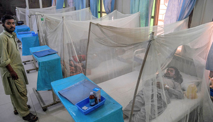 صرف ماہ اگست اور سمتبر میں اب تک اندرون سندھ میں 1120 افراد میں ڈینگی وائرس کی تصدیق ہوئی ہے — فوٹو: فائل