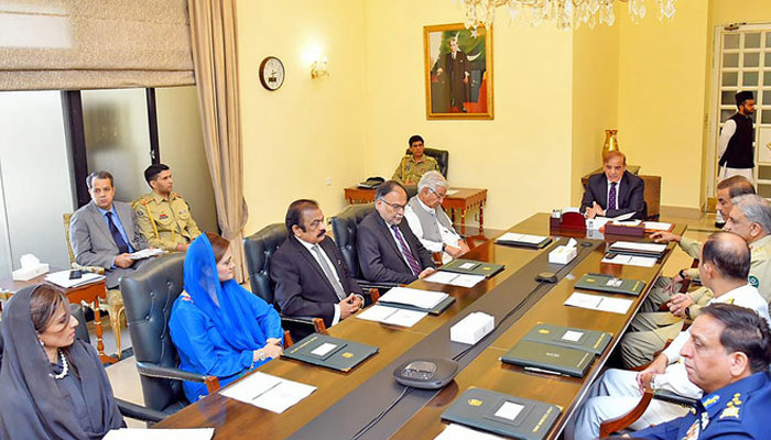 اعلیٰ اختیاراتی کمیٹی کے سربراہ وزیرداخلہ رانا ثنا اللہ ہوں گے: ذرائع— فوٹو:فائل