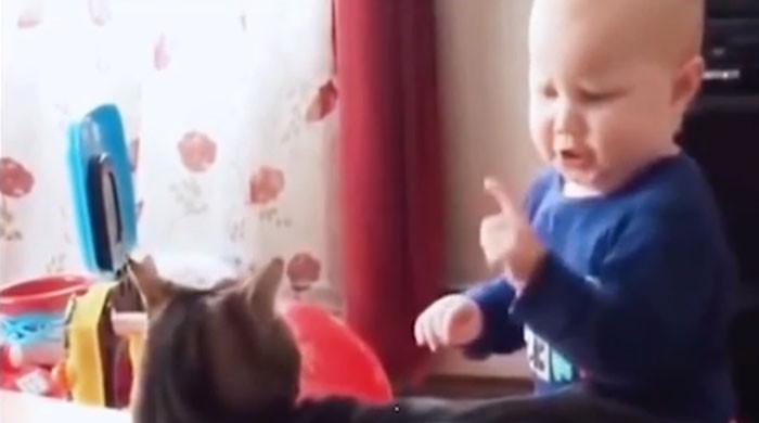 ویڈیو: بلی کے کان پر کاٹنے کے بعد ننھی بچی کا مزاحیہ ردعمل