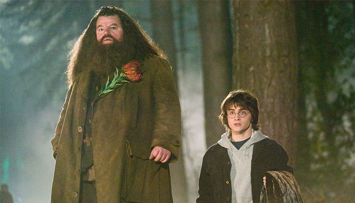Actor Robbie Coltrane was 72 years old — Photo: Screengrab