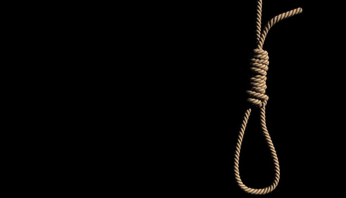 وشالی نے ایک اور مشہور ڈرامے سسرال سمر کا میں بھی اداکاری کے جوہر دکھائے تھے/ فائل فوٹو