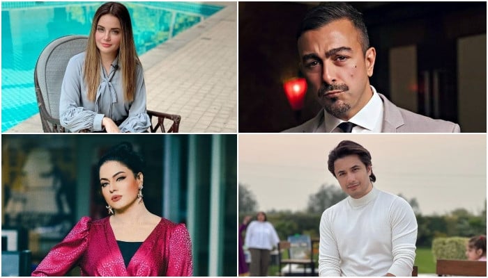 Pakistani showbiz stars condemn the murderous attack on Imran Khan