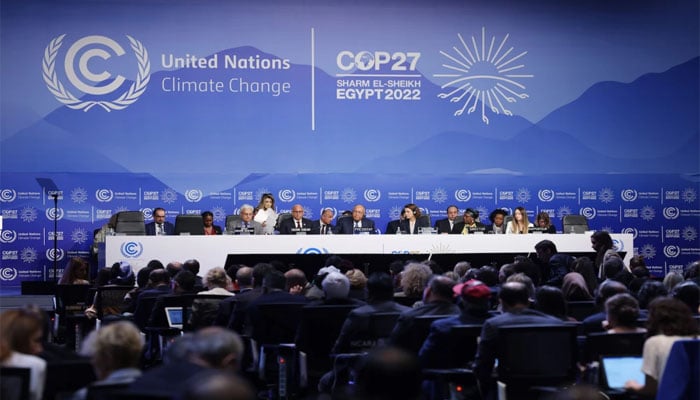 اقوام متحدہ کے سکریٹری جنرل نے COP27 کانفرنس کے موقع پر کہا کہ 5 سال کے منصوبے پر 3 ارب ڈالر کی لاگت آئے گی/ فوٹو سوش میڈیا