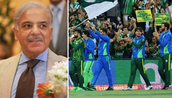ٹیم پاکستان، آپ نے ورلڈ کپ کے فائنل میں پہنچنے کے لیے تمام مشکلات کو شکست دی: شہباز شریف کا بیان—فوٹو: آئی سی سی
