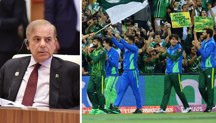 Team Pakistan, you beat all odds to reach World Cup final: Shahbaz Sharif's statement - Photo: ICC