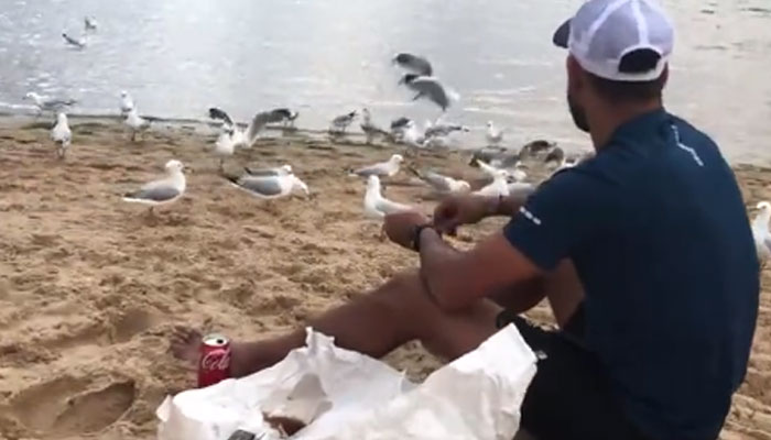 سوشل میڈیا پر حارث رؤف کی ایک ویڈیو وائرل ہورہی ہے جس میں فاسٹ بولر کو ساحل پر بیٹھے آبی پرندوں کو دانا ڈالتے دیکھا جاسکتا ہے/ اسکرین گریب