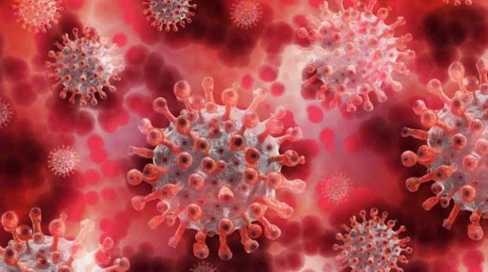 کورونا وائرس کی نئی قسم زیادہ خطرناک ہوسکتی ہے، تحقیق