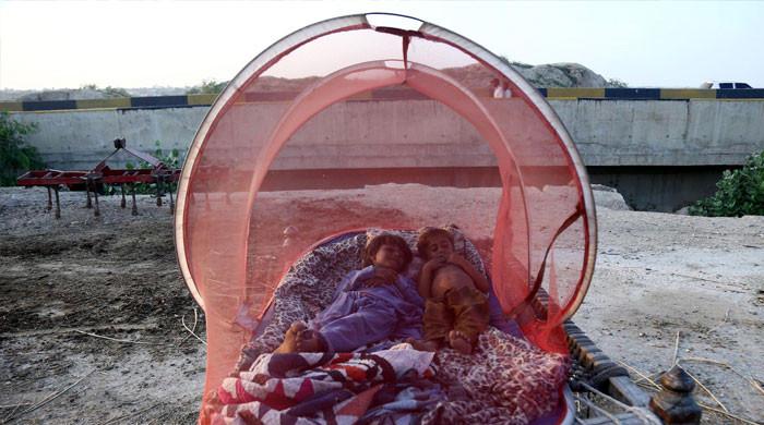 سیلاب زدہ  علاقوں کیلئے بھارت سے مچھر دانیوں کی فروخت کھٹائی میں پڑ گئی