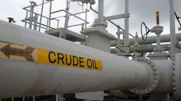 خام تیل کی فروخت کا معاملہ: روسی وزیرتوانائی آئندہ ماہ پاکستان کا دورہ کرینگے