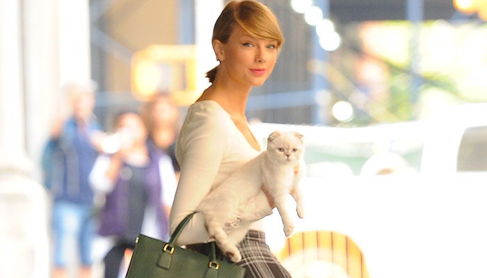 Taylor Swift with her cat / screenshot