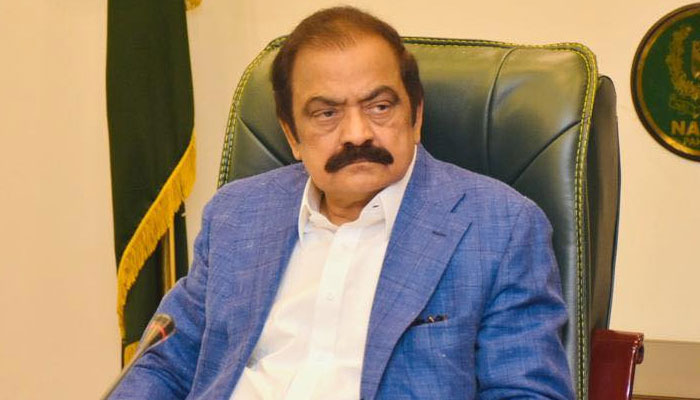 آج یہ لوگ پنجاب اسمبلی میں اپنی عددی اکثریت نہ دکھا سکے اور ہمارےپاس آج بھی رکن پورے تھے: وزیر داخلہ کی میڈیا سے گفتگو— فوٹو: فائل