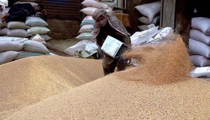 گندم کی فی من قیمت میں 1200 روپے کمی آ گئی جس سے 5400 والی گندم کھلی منڈی میں 4200 روپے من پر آگئی ہے__فوٹو: فائل