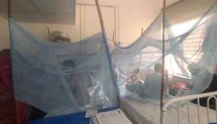 10 روز میں 50 ہزار 46 افراد کی اسکریننگ کی گئی اور 10 ہزار 31 افراد میں ملیریا کے وائرس کی تصدیق ہوئی: محکمہ صحت سندھ— فوٹو: فائل