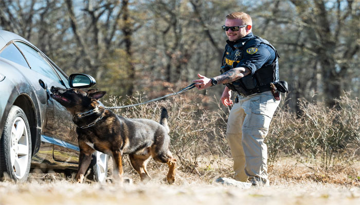 The young man's dog was also in the back seat of the car, along with hunting gear, including the young man's hunting rifle: Sheriff — Photo: File