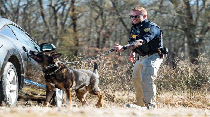 امریکی ریاست کینساس میں کتے نے شکاری کو گولی مار دی