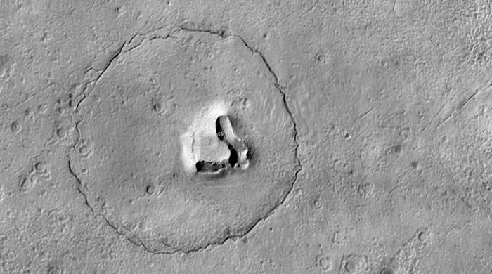 مریخ کی سطح پر بھالو نما تصویر کا قصہ کیا ہے؟