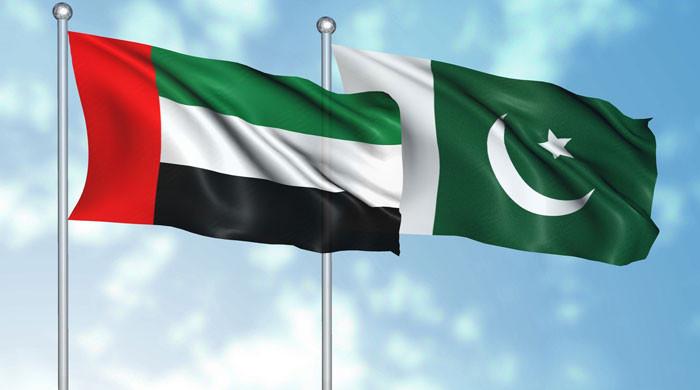 یو اے ای کو پاکستان کے 5 سرکاری اداروں کے شیئرز خریدنےکی پیشکش