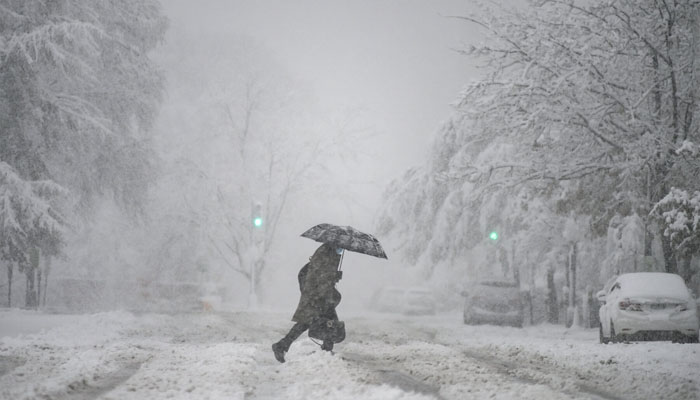 In the American city of Boston, there were stormy winds of minus 34 degrees Celsius, due to which schools were closed in the area on Friday / file photo