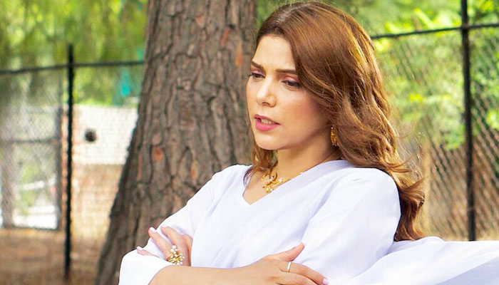 شروعات میں حدیقہ کیانی نے مہم کے تحت سندھ، بلوچستان اور جنوبی پنجاب کے سیلاب متاثرہ افراد کو ضروری اشیا فراہم کی تھیں—فوٹو: سوشل میڈیا