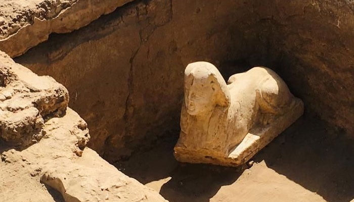 یہ وہ مجسمہ ہے / فوٹو بشکریہ مصری وزارت سیاحت