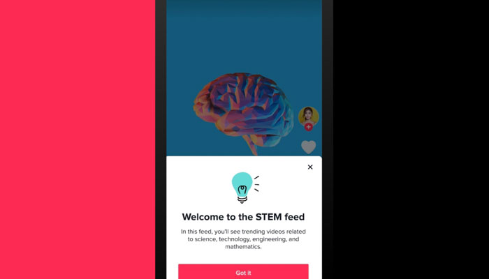 کمپنی نے یہ اس نئی فیڈ کا اعلان کیا / فوٹو بشکریہ ٹک ٹاک