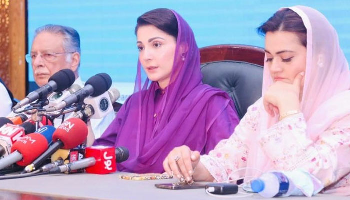 باربار ایک ہی ججز بینچ میں بیٹھیں گے تو سوال اٹھے گا، عمران کے ساتھ حکومت ایسا رویہ اختیارکرے جیسے دہشت گردوں کے ساتھ کرتی ہے: لیگی چیف آرگنائزر— فوٹو: سوشل میڈیا