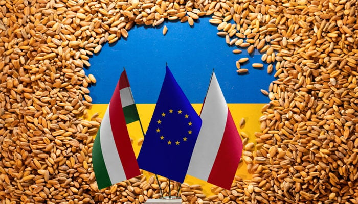 The European Commission rejects ban decisions by Poland and Hungary, saying individual EU member states do not have the power to make trade policy: Spokesperson EU - Photo: File