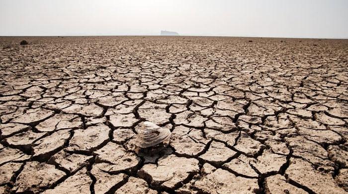 The UN warns of a record rise in temperature over the next few months

 | Pro IQRA News