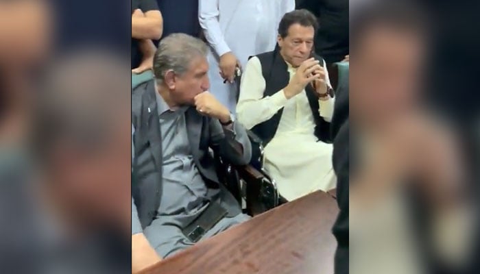 عمران خان کو 7 مقدمات میں ضمانت کے لیے ٹرائل کورٹ سے رجوع کرنے کا حکم دیا گیا ہے/ اسکرین گیب